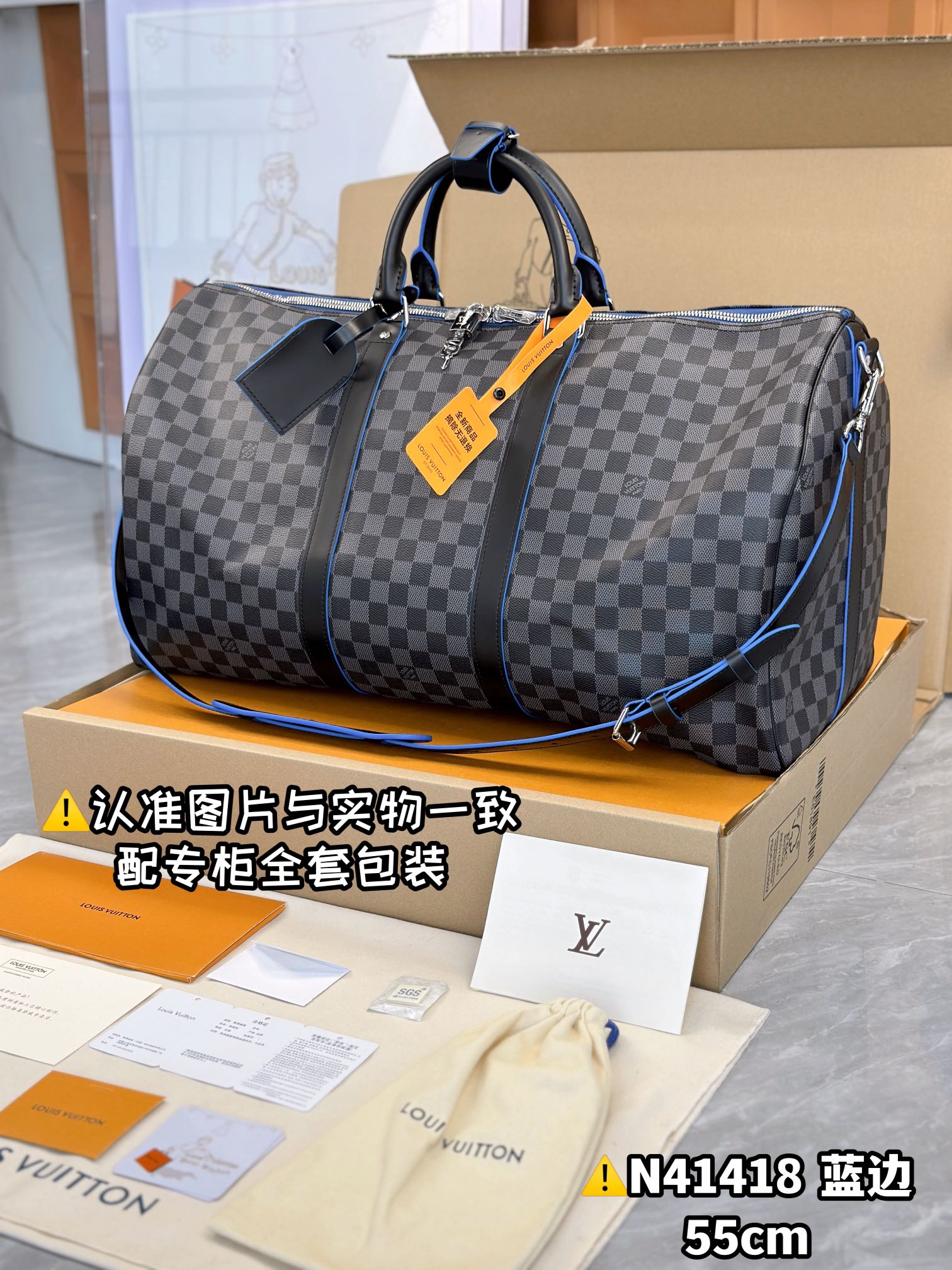 LV Travel Bags